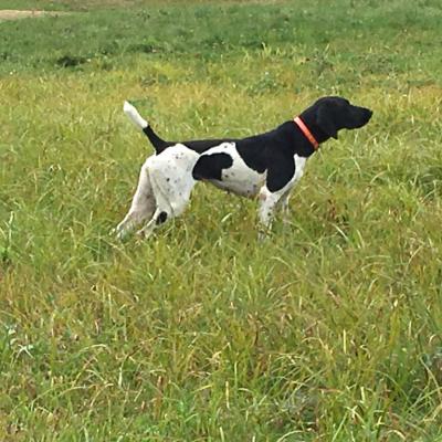 Maggie Bab's Von Seiger Boss