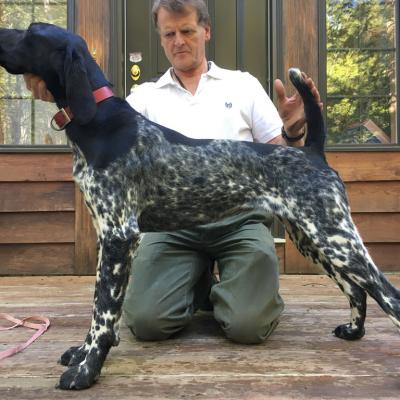 Dee Belle Von Seiger Boss